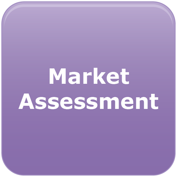 Market Assessment